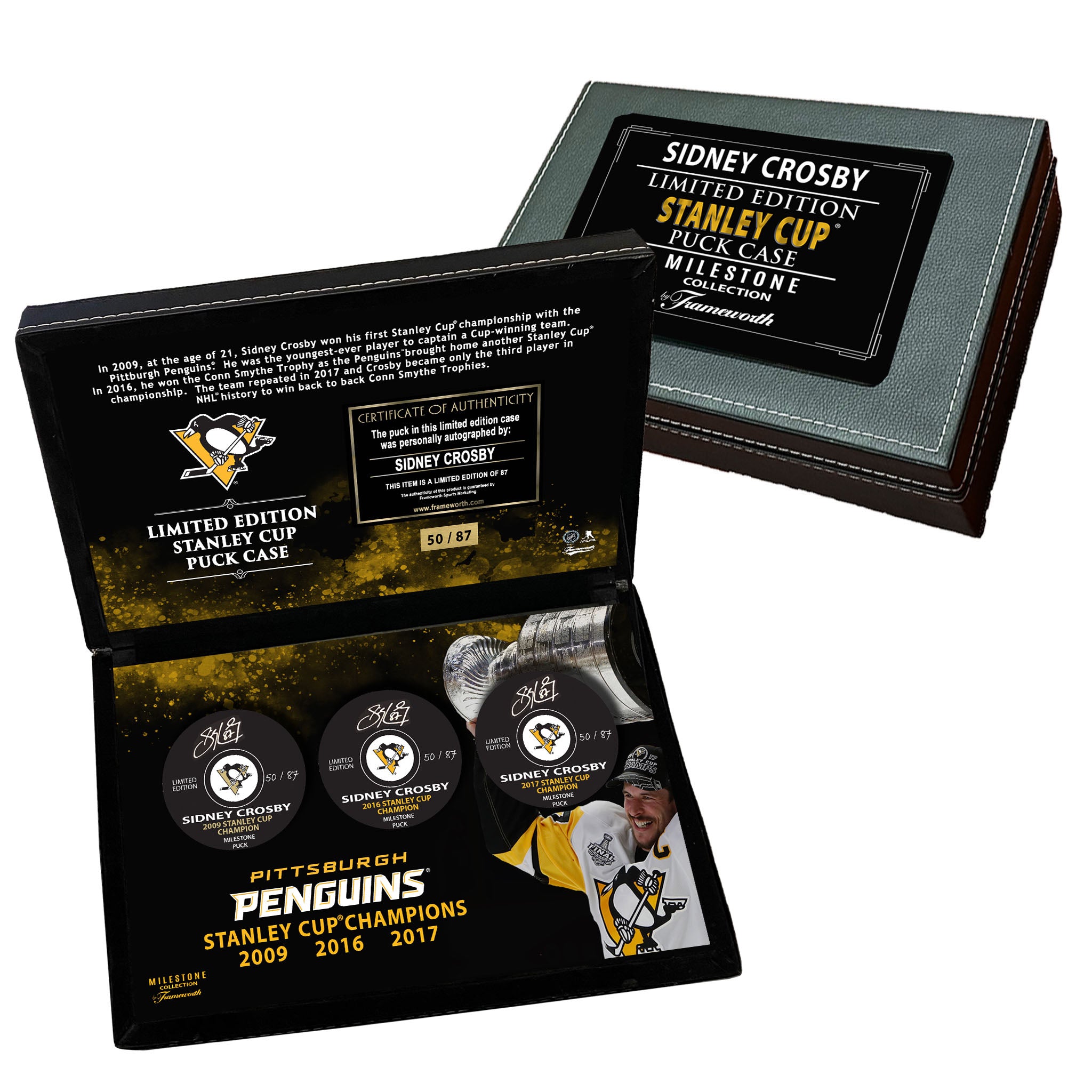 Pittsburgh Penguins 2017 Stanley Cup Champions Framed 10 x 30